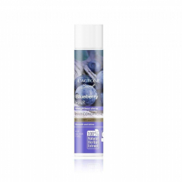 Lactone Blueberry Saç Kremi 300 ML